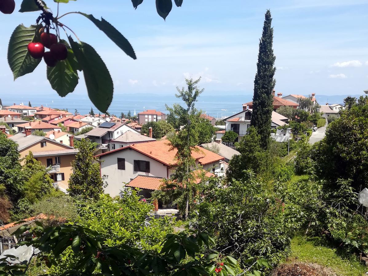 Seaside Parenzana Comfort With Free Parking イゾラ エクステリア 写真